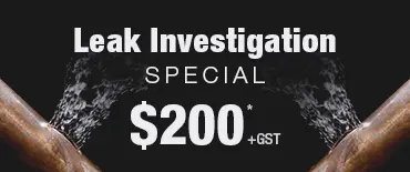 Leak Investigation Discount Mount Roskill