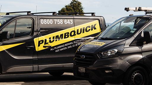 Professional Mount Roskill Plumbers